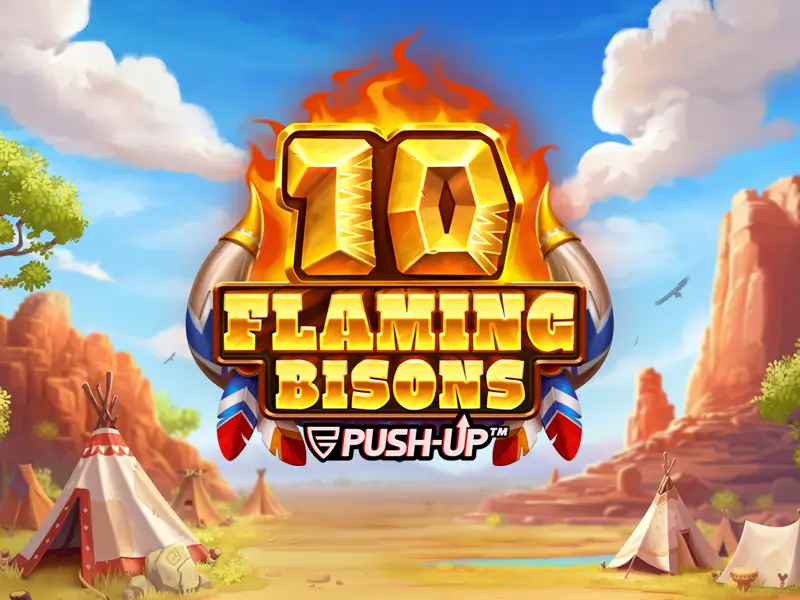 10 Flaming Bisons game cover