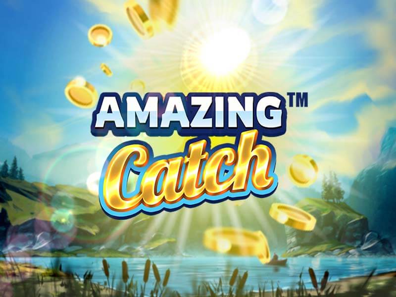Amazing Catch Game Cover