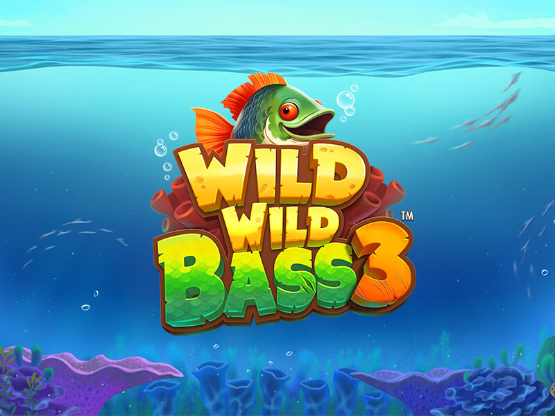 Wild Wild Bass 3 game cover